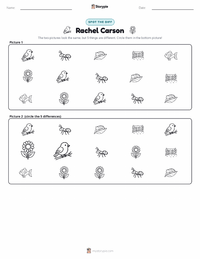 Rachel Carson printable worksheet preview