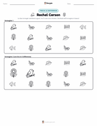 Anteprima della scheda stampabile di Rachel Carson