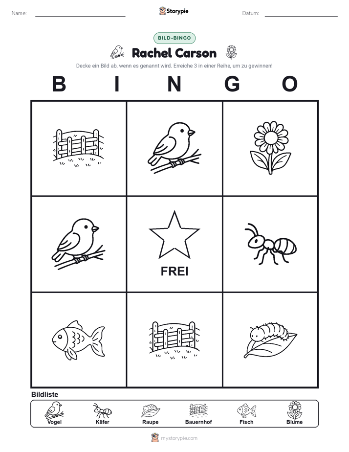 Bild-Bingo
