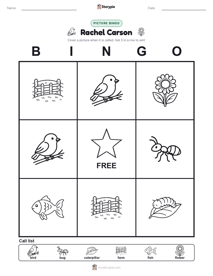 Picture Bingo