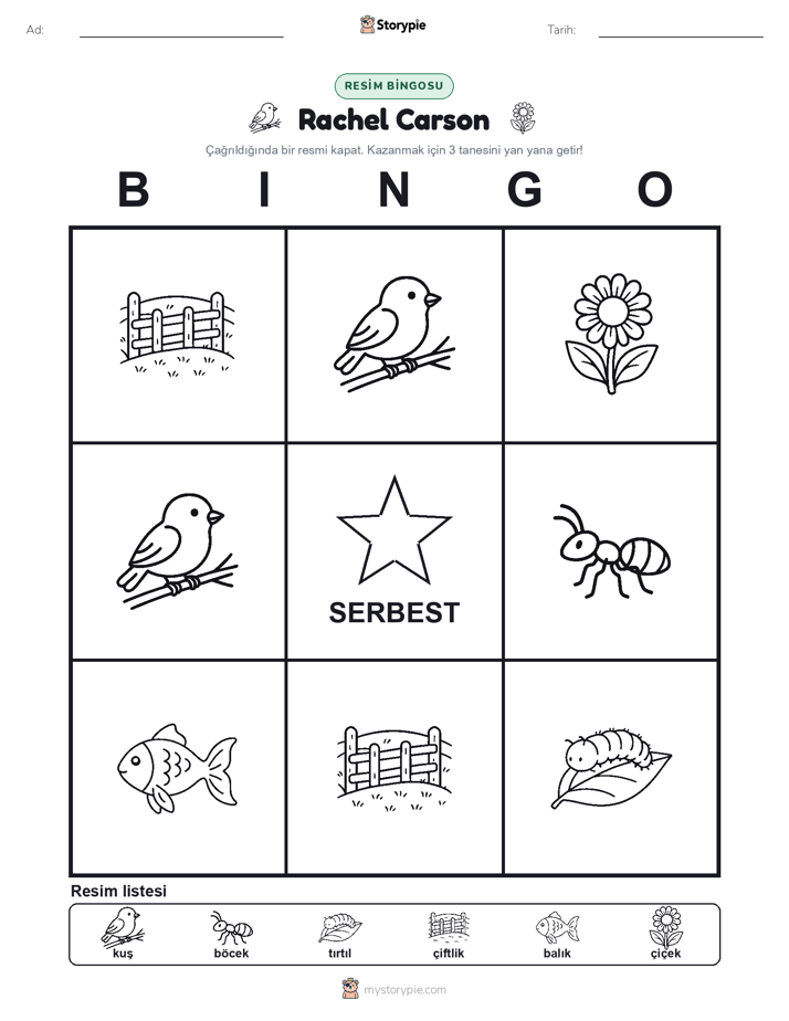 Resim Bingo