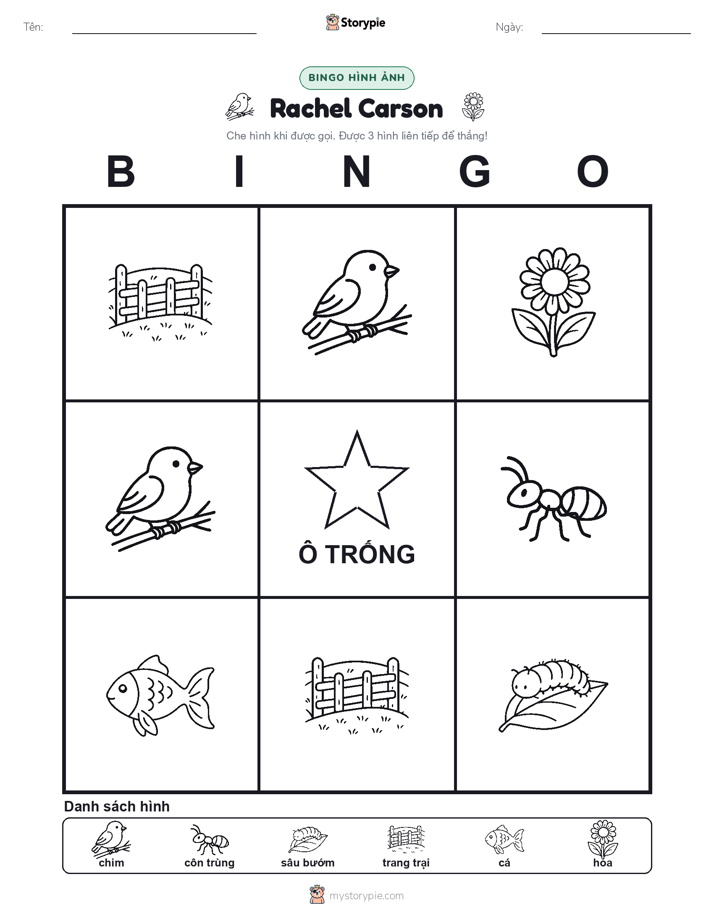 Bingo Hình Ảnh