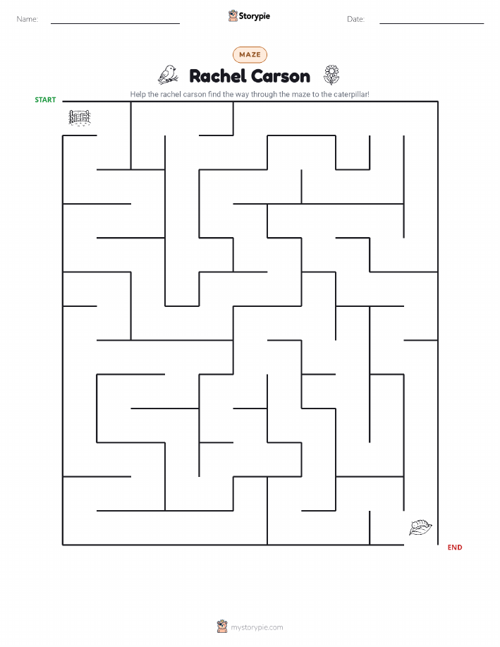 Maze