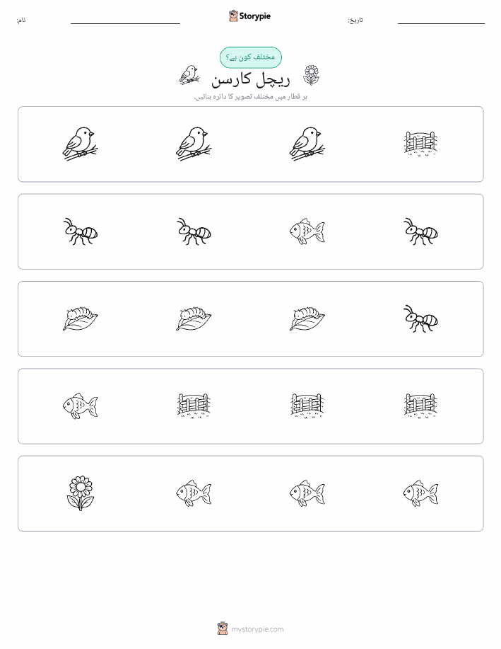 عجیب ایک