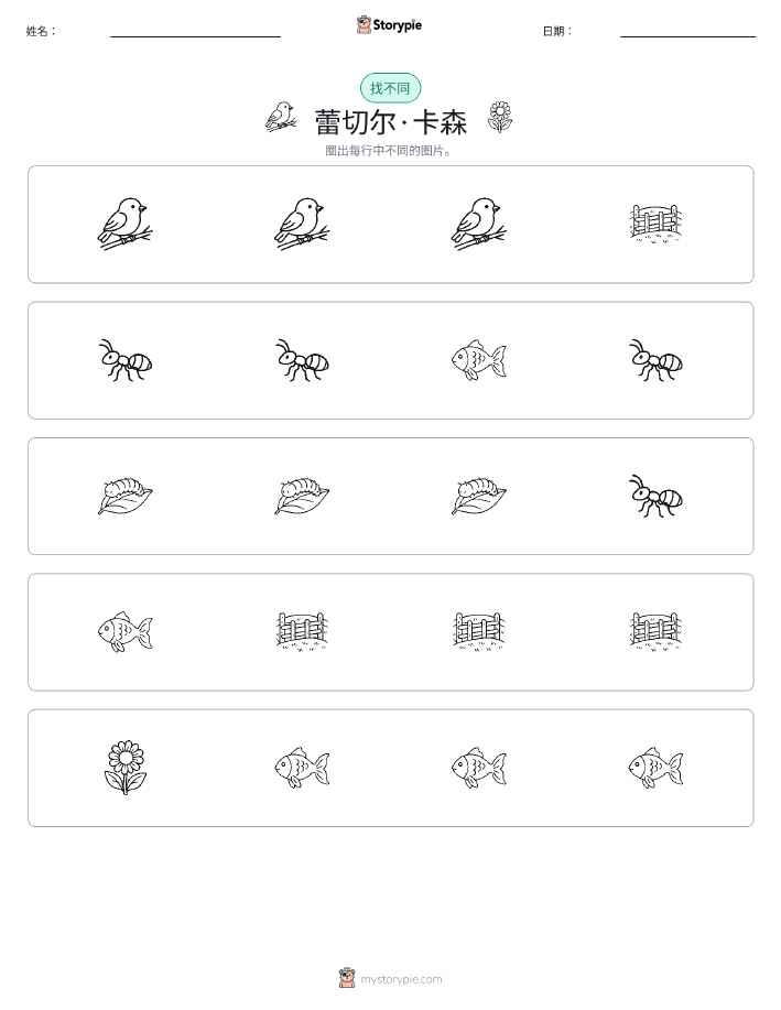 找不同