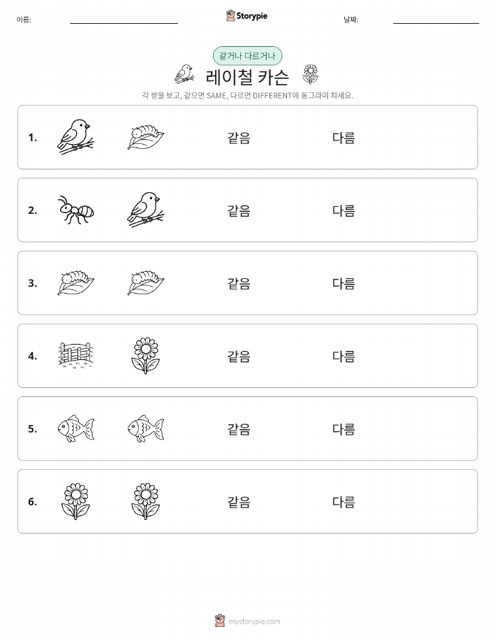 같은 것 또는 다른 것