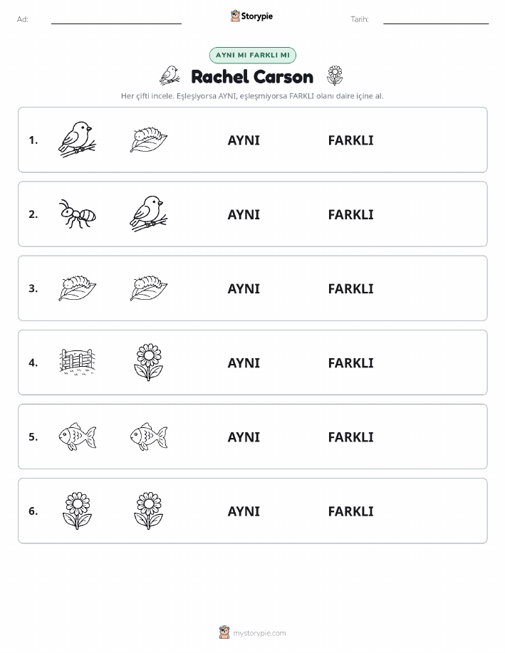 Aynı mı Farklı mı
