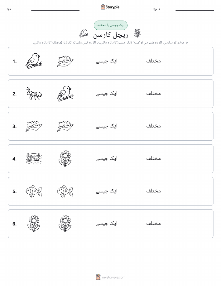 ایک جیسا یا مختلف