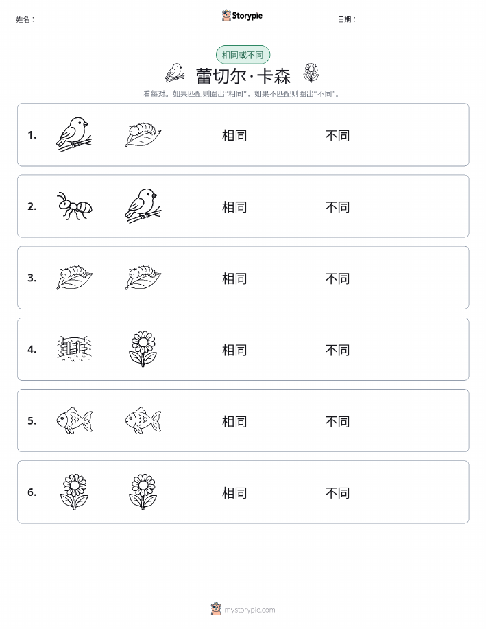 相同或不同