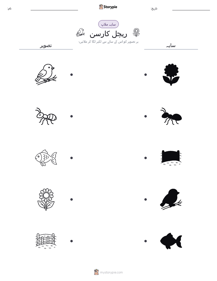 سایہ ملائیں