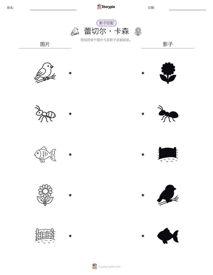 影子匹配