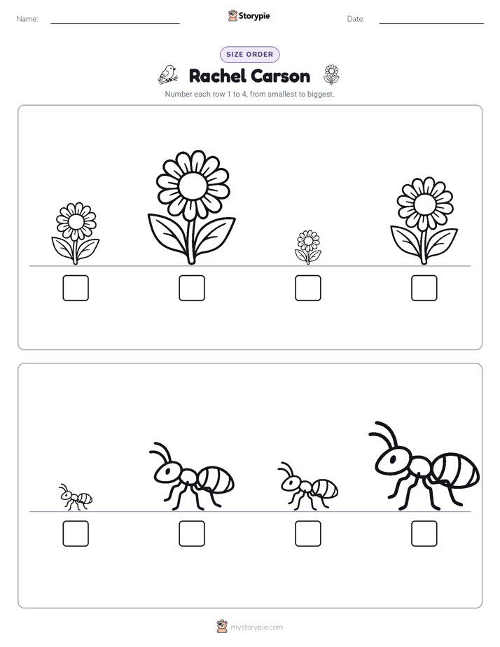 Size Order