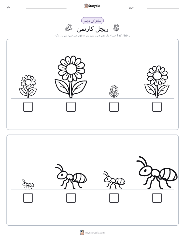 سائز کی ترتیب