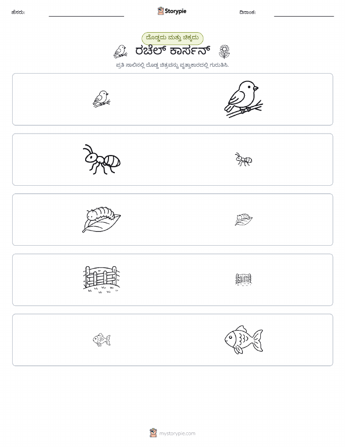 ವರ್ಗೀಕರಣ
