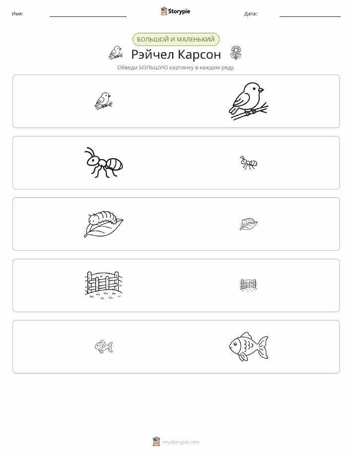 Сортировка