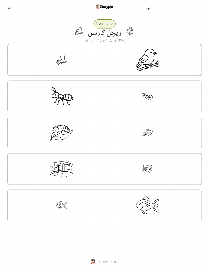 ترتیب دینا