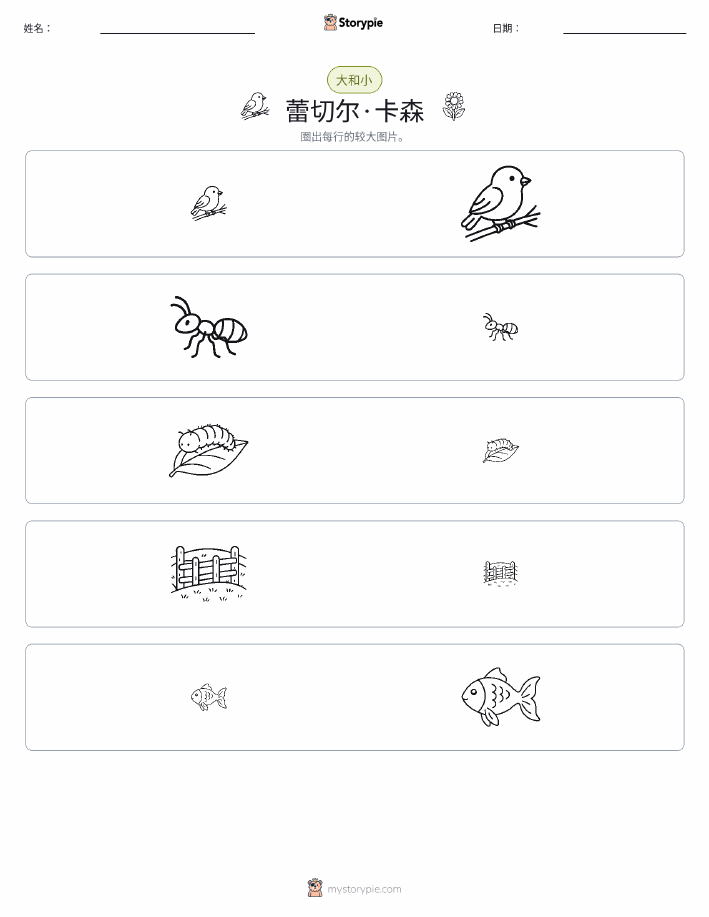 分类