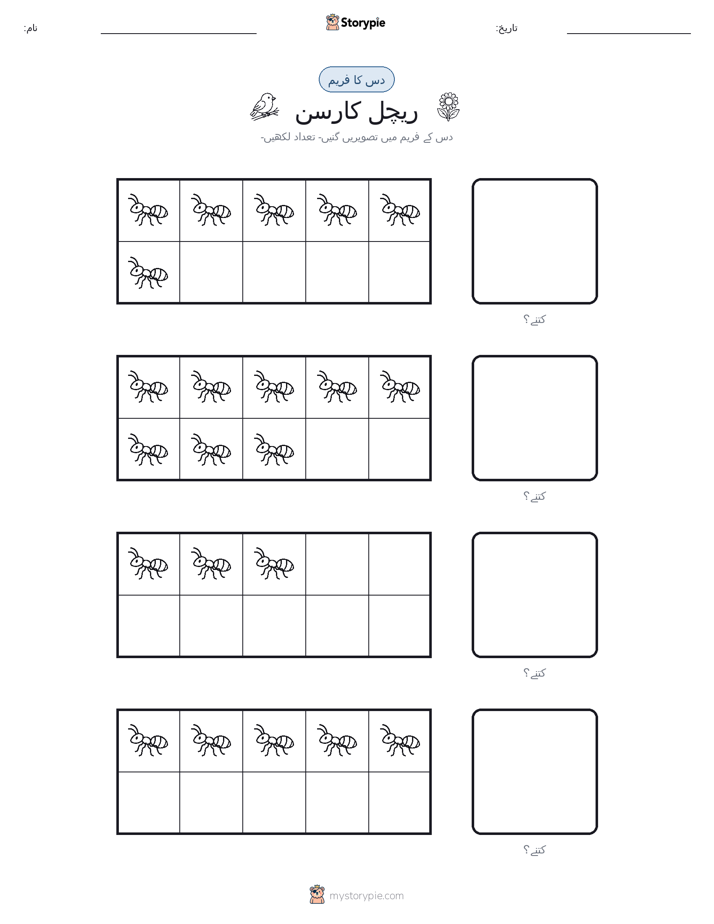 دس کا فریم