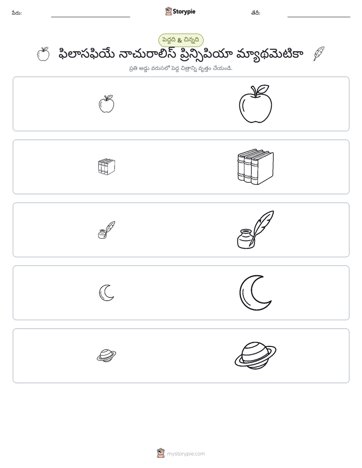 వర్గీకరణ