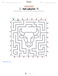 Het Labyrint afdrukbare werkblad voorbeeld