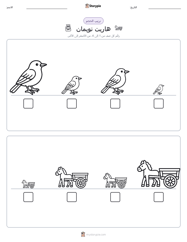 ترتيب الحجم