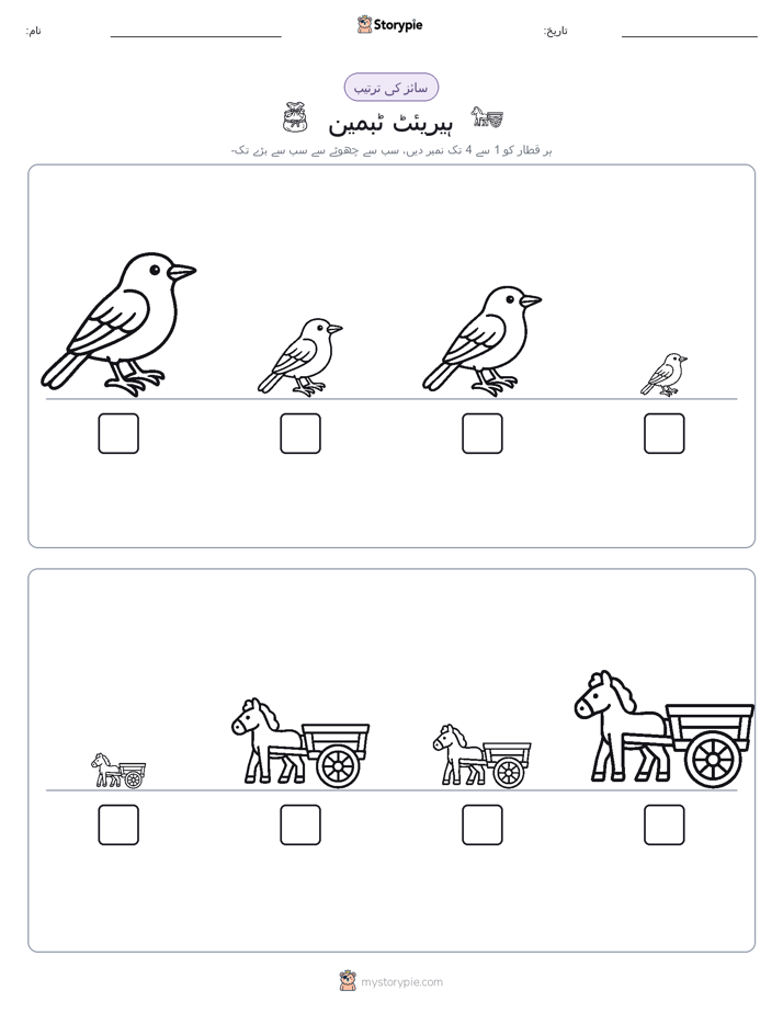 سائز کی ترتیب