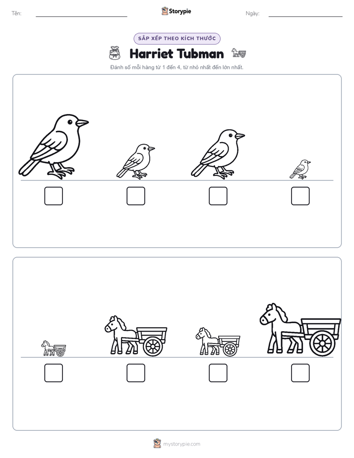 Thứ Tự Kích Thước