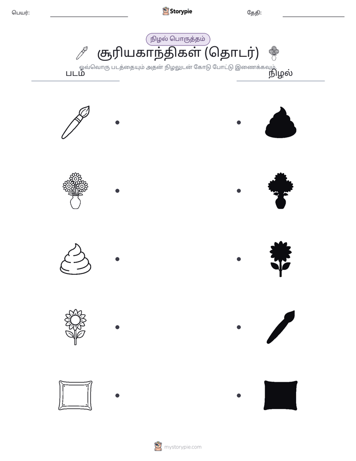 நிழல் பொருத்தம்