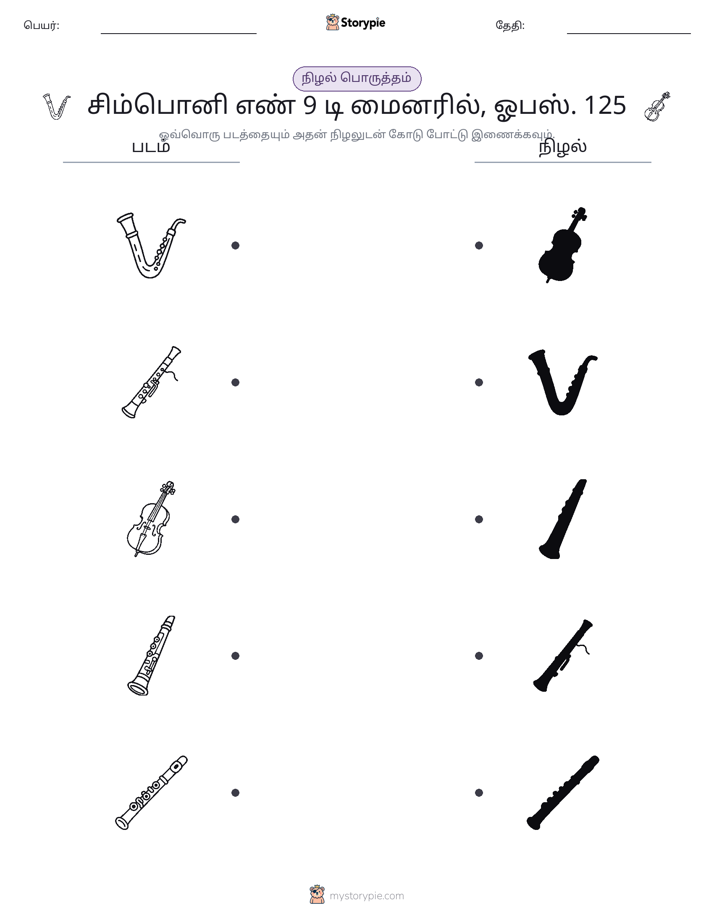 நிழல் பொருத்தம்