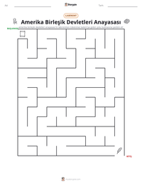 Amerika Birleşik Devletleri Anayasası yazdırılabilir çalışma sayfası önizlemesi