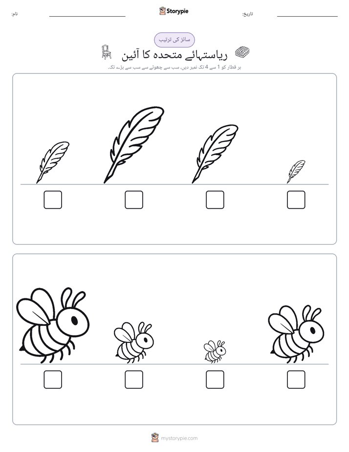 سائز کی ترتیب