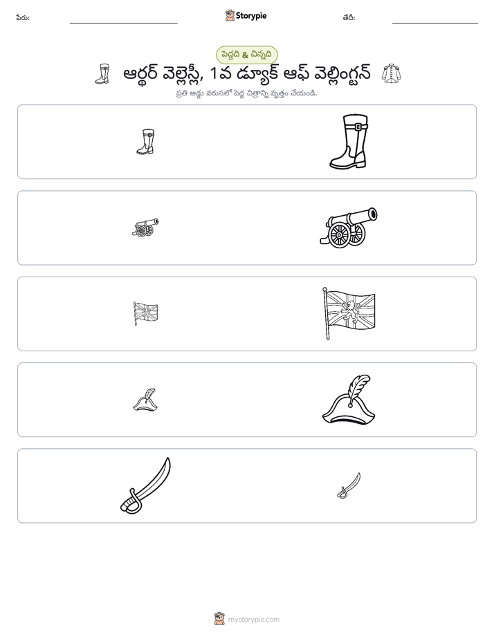 వర్గీకరణ