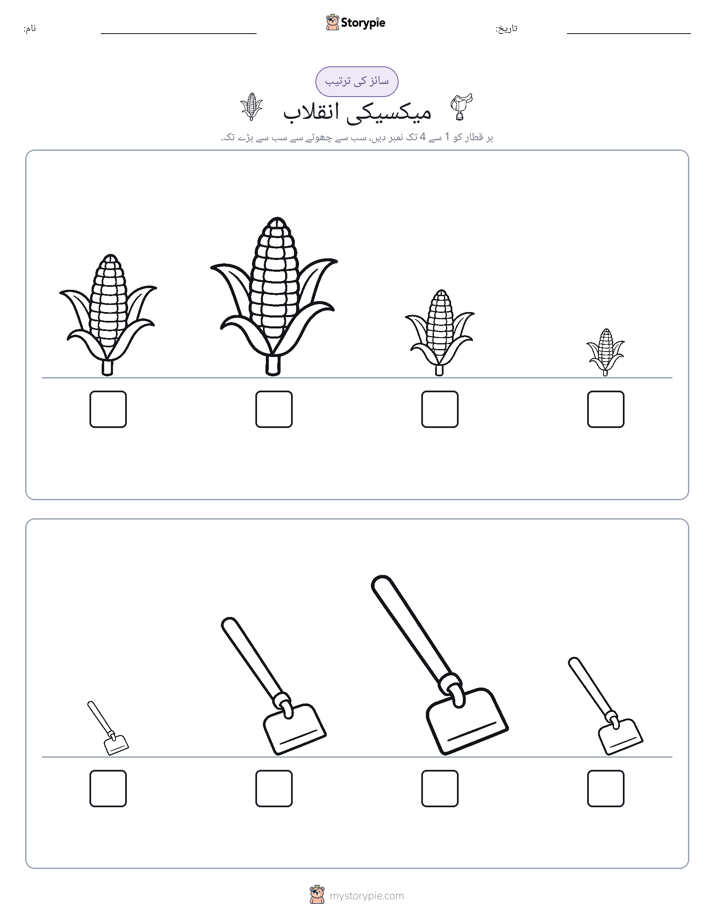 سائز کی ترتیب