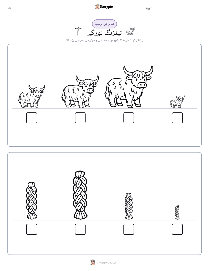 سائز کی ترتیب