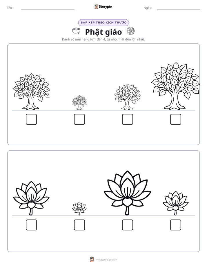 Thứ Tự Kích Thước