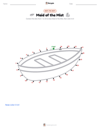 Maid of the Mist printable worksheet preview