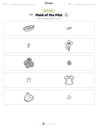 Maid of the Mist printable worksheet preview