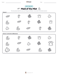 Maid of the Mist printable worksheet preview