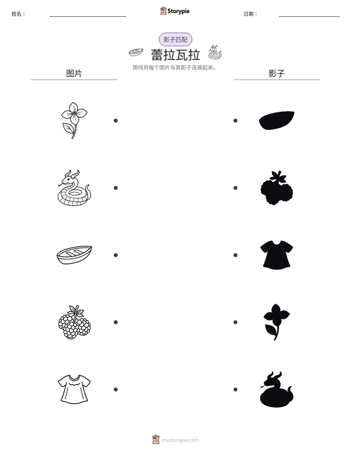 影子匹配
