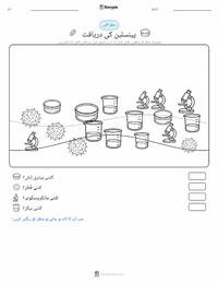 پینسلین کی دریافت پرنٹ کرنے کے قابل ورکشیٹ کا پیش نظارہ