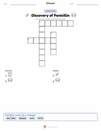 Discovery of Penicillin printable worksheet preview