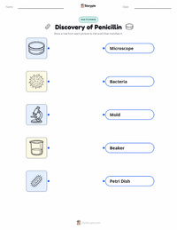 Discovery of Penicillin printable worksheet for kids