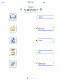 페니실린의 발견 어린이용 인쇄 가능한 워크시트