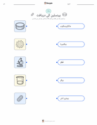 پینسلین کی دریافت پرنٹ کرنے کے قابل ورکشیٹ کا پیش نظارہ