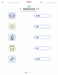 青霉素的发现 可打印工作表，适合儿童