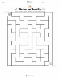 Discovery of Penicillin printable worksheet preview