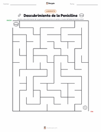 Vista previa de la hoja de trabajo imprimible de Descubrimiento de la Penicilina