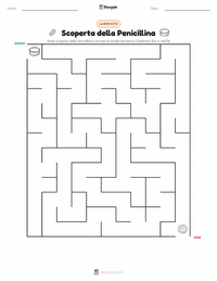 Anteprima della scheda stampabile di Scoperta della Penicillina