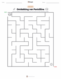Ontdekking van Penicilline afdrukbare werkblad voorbeeld
