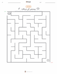 پینسلین کی دریافت پرنٹ کرنے کے قابل ورکشیٹ کا پیش نظارہ
